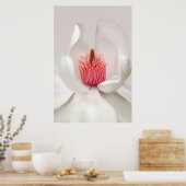 Blumen | White Magnolia Poster (Küche)