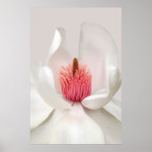 Blumen | White Magnolia Poster (Vorne)