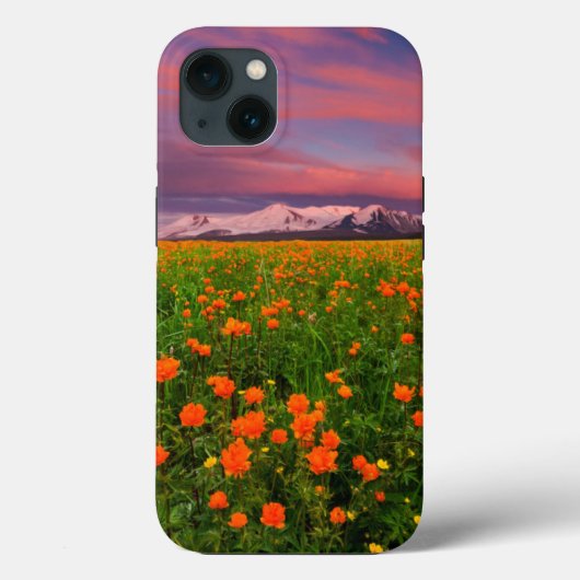 Blumen | Wildblume Felsschneebedeckte Berge Case-Mate iPhone Hülle (Rückseite)