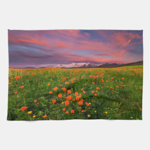 Blumen   Wildblume Felsschneebedeckte Berge Geschirrtuch