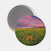 Blumen | Wildblume Felsschneebedeckte Berge Magnet (Vorderseite/Rückseite)