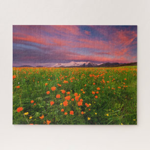 Blumen   Wildblume Felsschneebedeckte Berge Puzzle