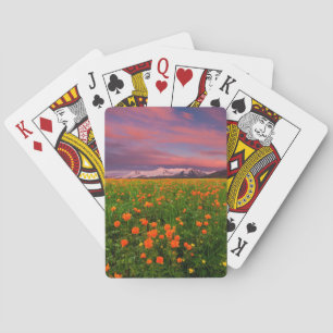 Blumen Wildblume Felsschneebedeckte Berge Spielkarten