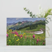 Blumen | Wildblumen Durango, Colorado Dankeskarte (Stehend Vorderseite)