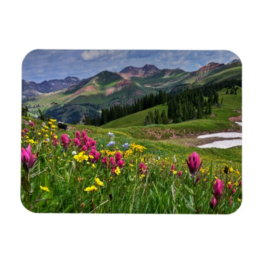 Blumen | Wildblumen Durango, Colorado Magnet (Horizontal)