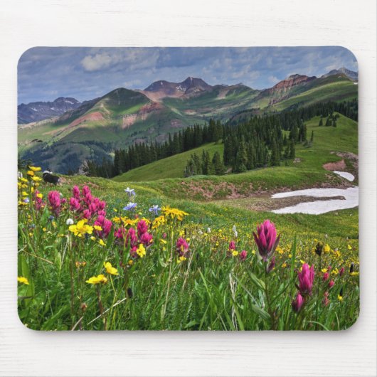 Blumen | Wildblumen Durango, Colorado Mousepad (Vorne)