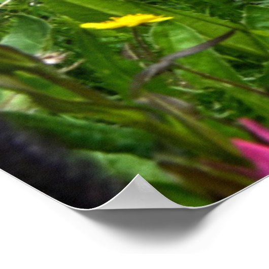 Blumen | Wildblumen Durango, Colorado Poster (Ecke)