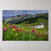 Blumen | Wildblumen Durango, Colorado Poster (Vorne)