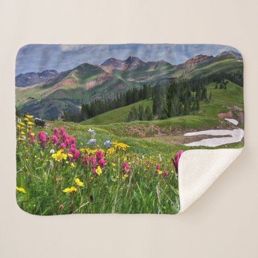 Blumen | Wildblumen Durango, Colorado Sherpadecke (Vorderseite (Horizontal))