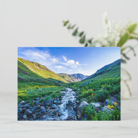 Blumen | Wildblumen in Colorado Dankeskarte (Stehend Vorderseite)