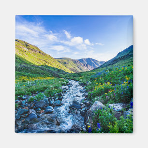 Blumen Wildblumen in Colorado Magnet