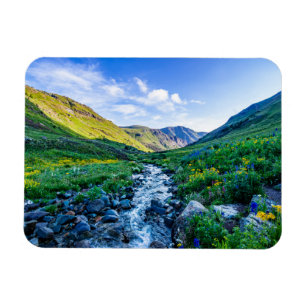 Blumen Wildblumen in Colorado Magnet