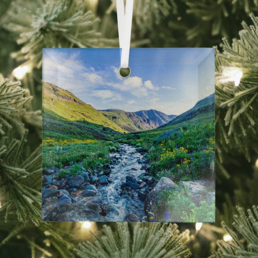 Blumen | Wildblumen in Colorado Ornament Aus Glas (Insitu)