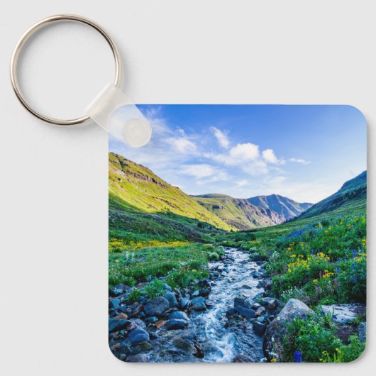 Blumen | Wildblumen in Colorado Schlüsselanhänger (Vorderseite)