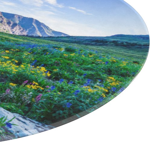 Blumen | Wildblumen in Colorado Schneidebrett (Ecke)