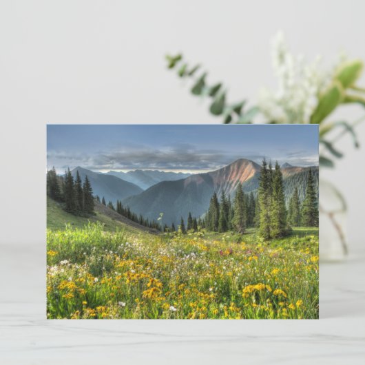 Blumen | Wildblumen Silverton Colorado Dankeskarte (Stehend Vorderseite)