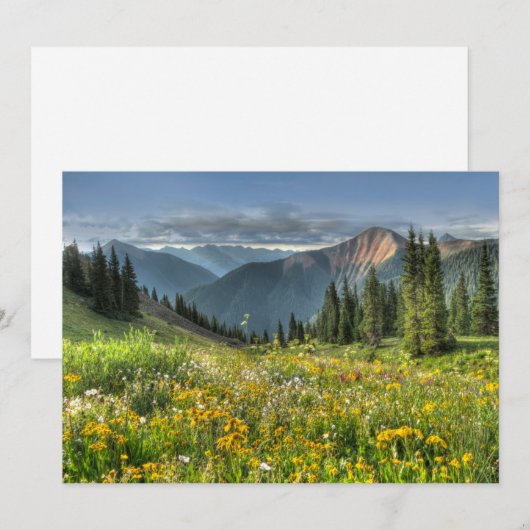 Blumen | Wildblumen Silverton Colorado Dankeskarte (Vorne/Hinten)