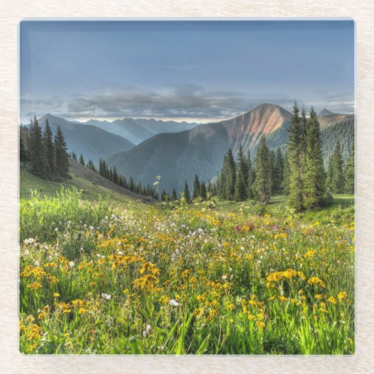 Blumen | Wildblumen Silverton Colorado Glasuntersetzer (Vorderseite)
