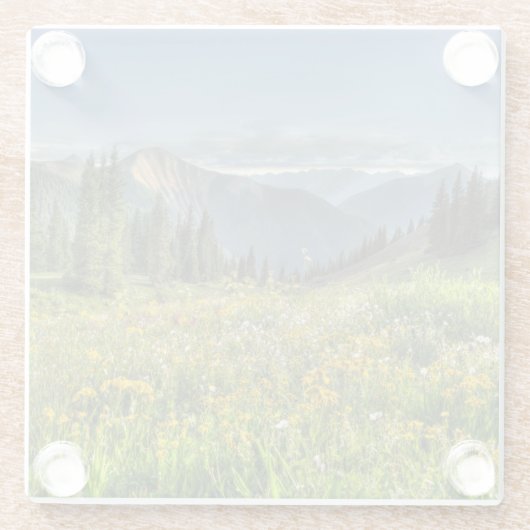 Blumen | Wildblumen Silverton Colorado Glasuntersetzer (Rückseite)