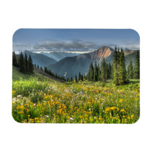 Blumen Wildblumen Silverton Colorado Magnet