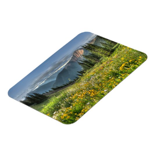 Blumen | Wildblumen Silverton Colorado Magnet (Linke Seite)