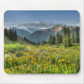 Blumen | Wildblumen Silverton Colorado Mousepad (Vorne)