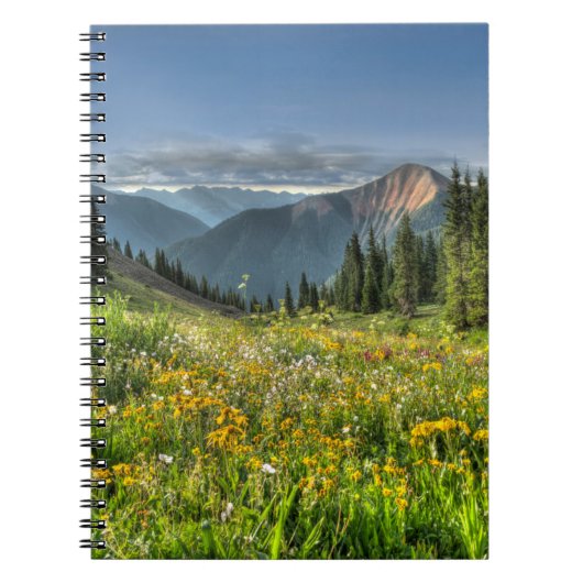 Blumen | Wildblumen Silverton Colorado Notizblock (Vorderseite)