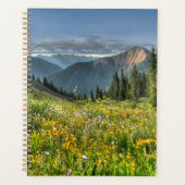 Blumen | Wildblumen Silverton Colorado Planer (Vorderseite)