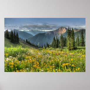 Blumen Wildblumen Silverton Colorado Poster