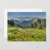 Blumen | Wildblumen Silverton Colorado Postkarte (Vorne/Hinten)
