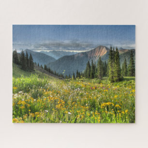 Blumen   Wildblumen Silverton Colorado Puzzle