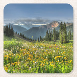 Blumen   Wildblumen Silverton Colorado Rechteckiger Pappuntersetzer