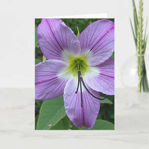 Blumenadern Muttertags-Karte Karte