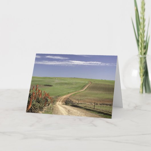 Blumenaloge in der Nähe von Caledon, Western Cape Karte (Vorderseite)