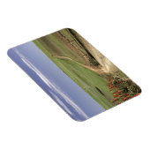 Blumenaloge in der Nähe von Caledon, Western Cape Magnet (Rechte Seite)