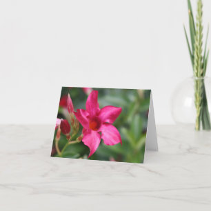 Blumenanmerkungskarte der rosa Blume Karte