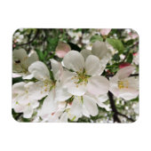 Blumenapfel Magnet (Horizontal)