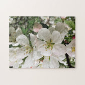 Blumenapfel Puzzle (Horizontal)