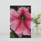 Blumenausbruch Briefpapier (Stehend Vorderseite)