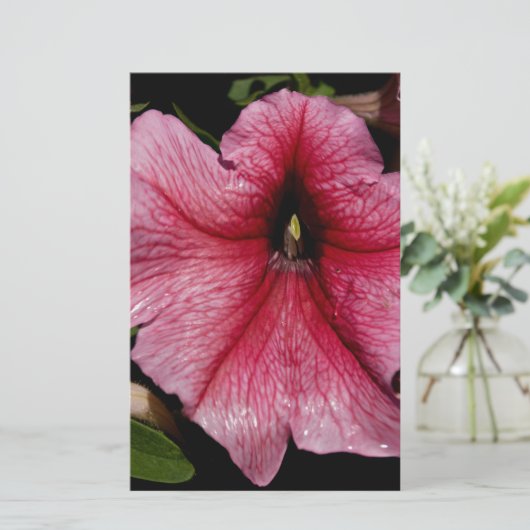 Blumenausbruch Briefpapier (Stehend Vorderseite)