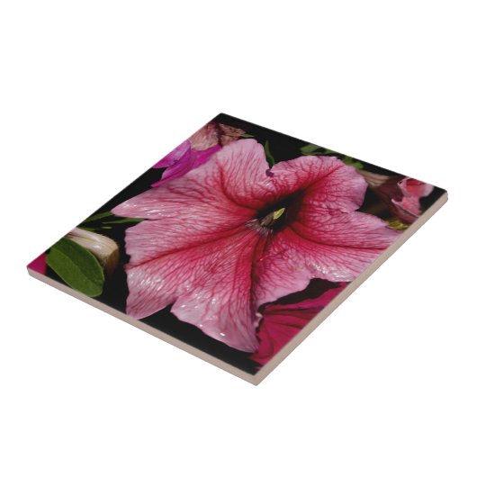 Blumenausbruch Fliese (Seite)