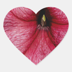 Blumenausbruch Herz-Aufkleber