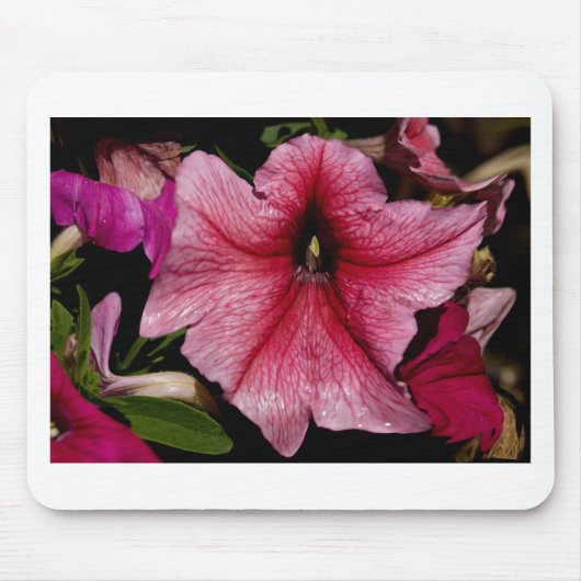 Blumenausbruch Mousepad (Vorne)