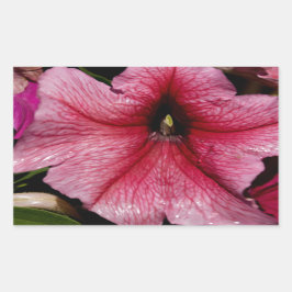 Blumenausbruch Rechteckiger Aufkleber