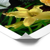 Blumenausbrüche Poster (Ecke)