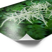 Blumenbaum Weiße Blume Grüne Blätter Fotodruck (Ecke)