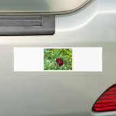 Blumenbeet im Frühjahr Autoaufkleber (Auf Auto)