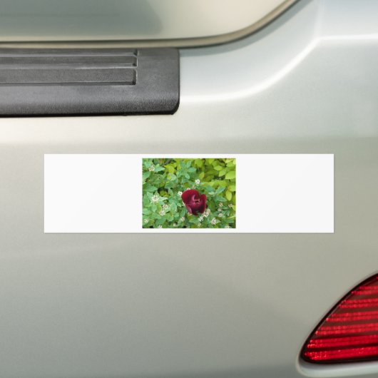 Blumenbeet im Frühjahr Autoaufkleber (Auf Auto)