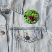 Blumenbeet im Frühjahr Button (Beispiel)