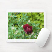 Blumenbeet im Frühjahr Mousepad (Mit Mouse)